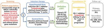 Induction PD-1 inhibitor toripalimab plus chemotherapy followed by concurrent chemoradiotherapy and consolidation toripalimab for bulky locally advanced non-small-cell lung cancer: protocol for a randomized phase II trial (InTRist study)